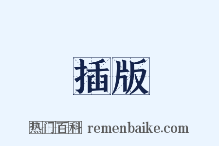 插版是什么意思的图片